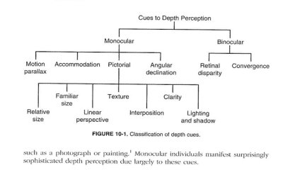 depth cues.jpg
