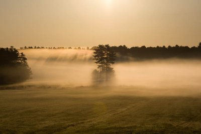 Golden Sunrise Over Farm Field, Sanborn Road, East Kingston, NH