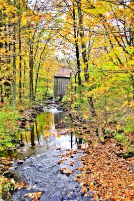 The Old Mill Stream, Little River Road, Kingston, NH