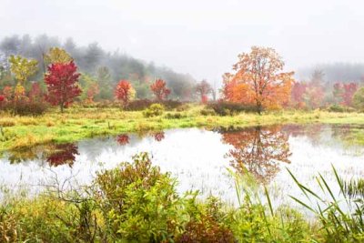 Fog, Pond and Autumn Trees, East Kingston, NH