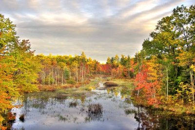 Sunrise on Marsh - Autumn, along Rt. 111, Kingston, NH