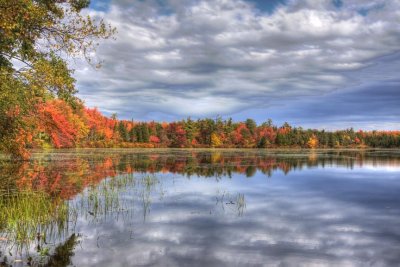 Fall Trees and Powwow Pond, Kingston, NH