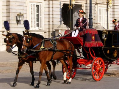 official carriage to receive diplomats