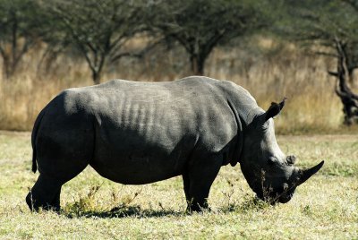 Tala Private Game Reserve - South Africa