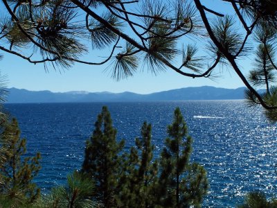 nevada