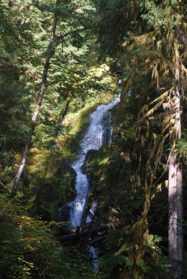 _DSC2652.JPG