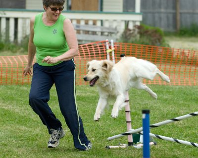 DSC_3951.jpg
