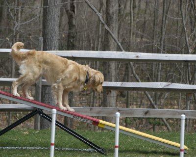 agility_bloopers