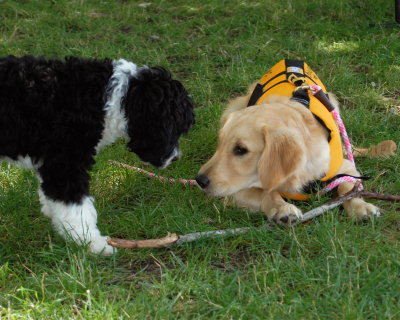 DSC_0425.JPG
