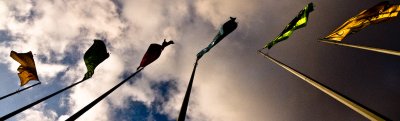 _MG_8955.jpg