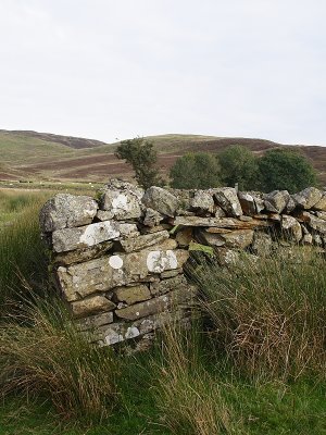 The Leaning Wall of Dolau