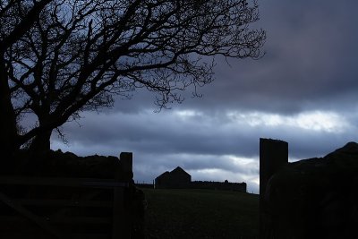 Tree and Barn