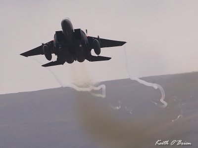 F15E Strike Eagle 8