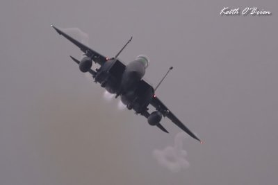 F15E Strike Eagle 9