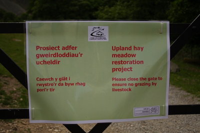 Upland Hay Meadow Project