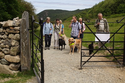 Approaching Gate