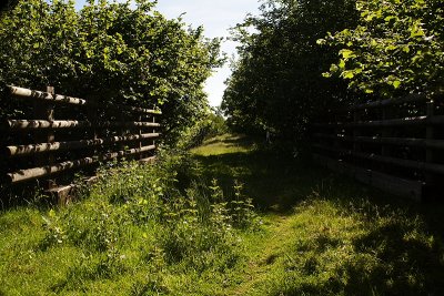 Trackbed Looking West