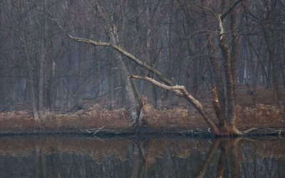 Skokie Lagoons