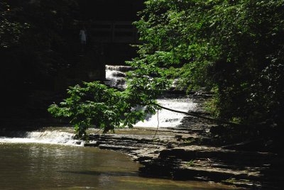 DSC_0079.jpg