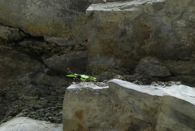 DSC_0157.jpg