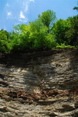 DSC_0170.jpg