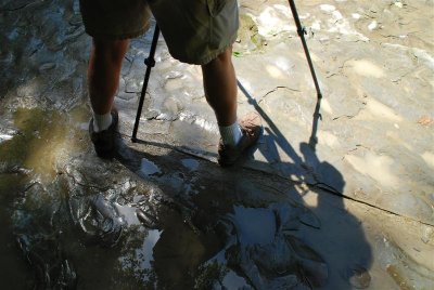 Legs and shadows.
