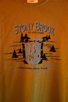T shirt
