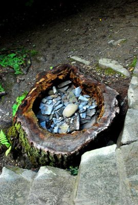 tree stump.