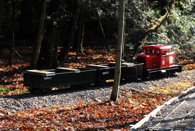 DSC_0182.jpg