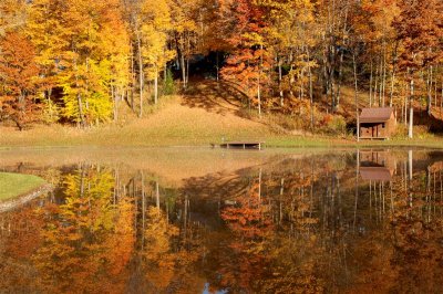 Cabin by the pond.