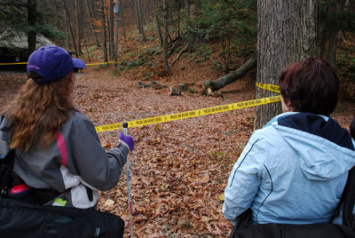 Police Line Do Not Cross...Crime scene, dead tree.