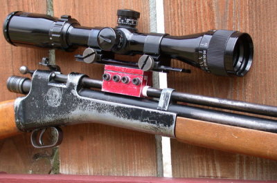 Bushnell mounted.JPG