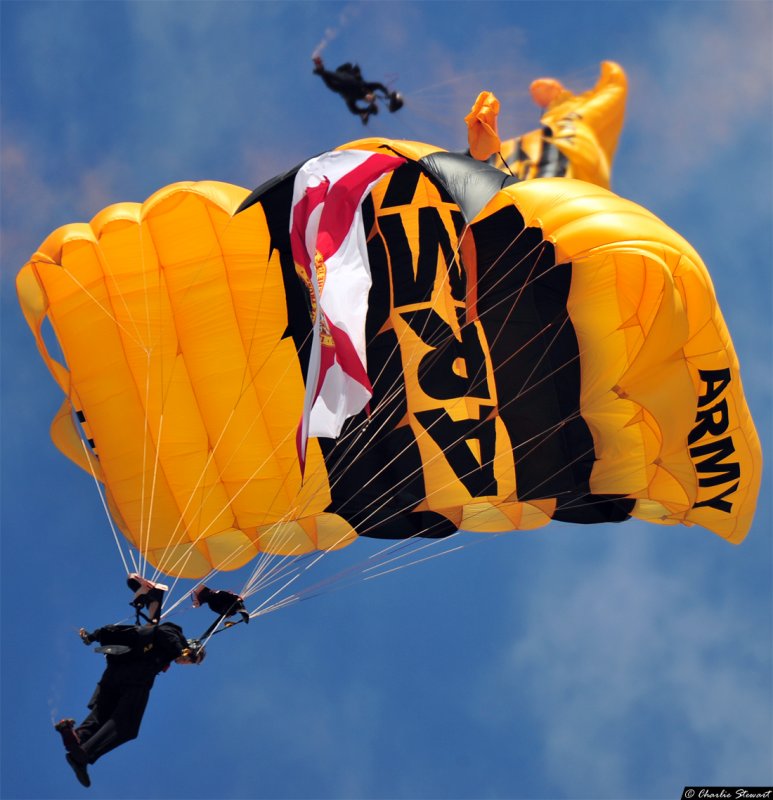 U.S. Army Golden Knights