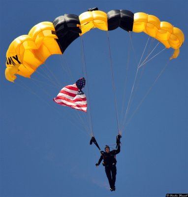 U.S. Army Golden Knights