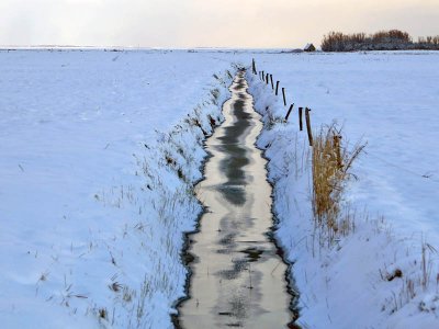 Winter on Terschelling 1