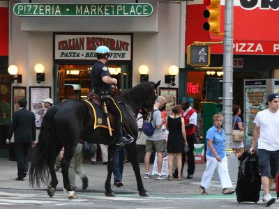 New York City Horse Mounted Police