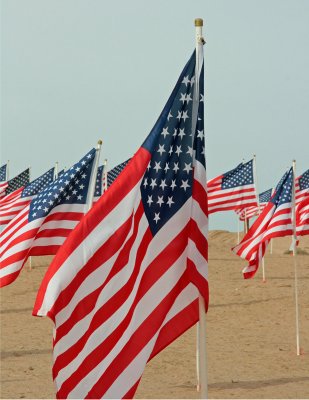 flags
