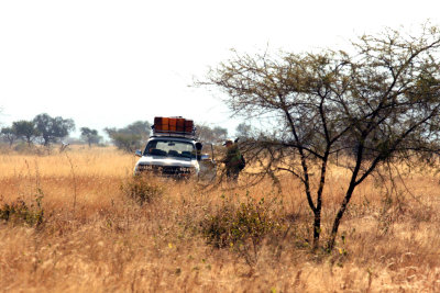 Awash Nat Pk Ethiopia Nov 2007. Photo Stefan © Lithner