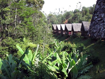 172 Bakuna Lodge Perinet 081111 S. Lithner
