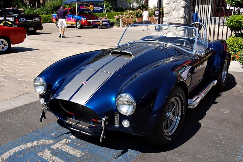 A real Cobra (1965, racing)