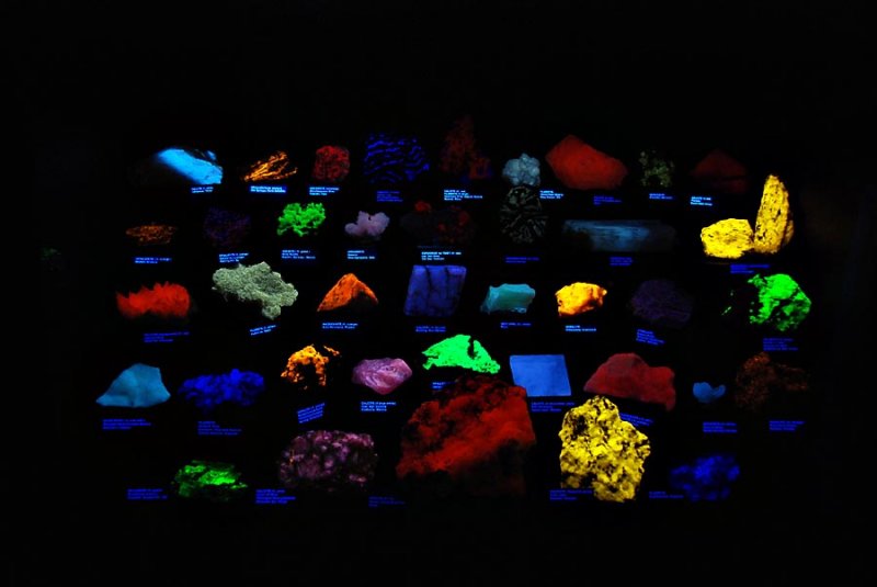 Gems and Minerals under fluorescent light