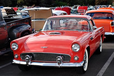 g5/26/12626/3/68070787.D9qEpSwp.jpg