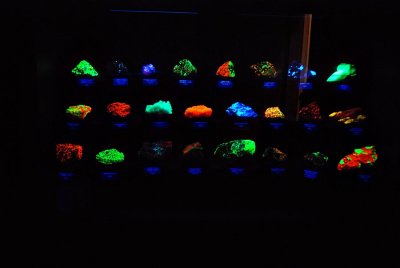 Gems and Minerals under fluorescent light