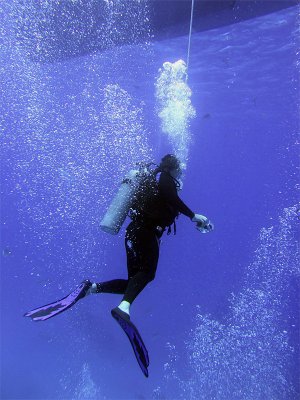 Diver Under Boat on Safety Stop