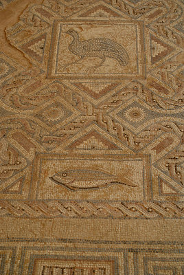 Mosaics at Kourion 12