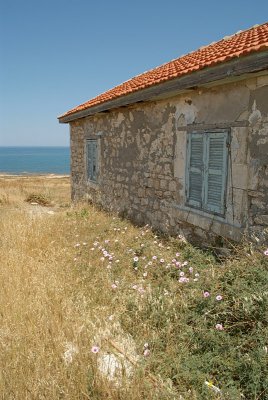 Building in Pafos 02