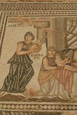 Pafos Archaeological Site Mosaics 09