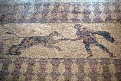 Pafos Archaeological Site Mosaics 36