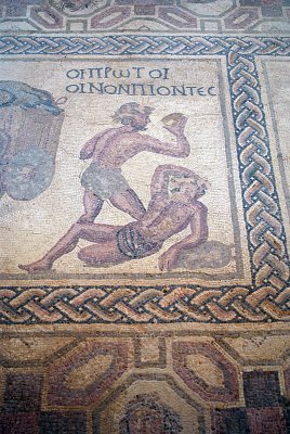 Pafos Archaeological Site Mosaics 39