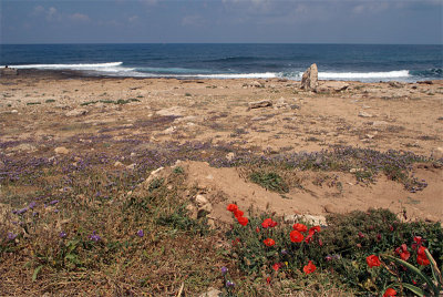 Pafos Coastline 03